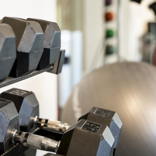 The image shows a gym setting with hexagonal dumbbells on a rack and exercise balls in the background.