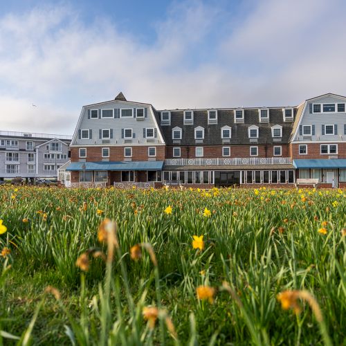 A picturesque hotel building surrounded by a grassy field dotted with yellow flowers. The sky is partially cloudy with a serene atmosphere.