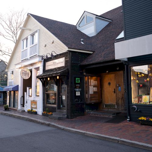 A quiet street with various shops, including a bookstore and an art gallery, with some flowers and decorations in the windows, in the evening.