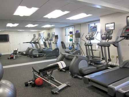 This image shows a gym with treadmills, elliptical machines, exercise bikes, a bench with weights, exercise balls, and a wall mirror.