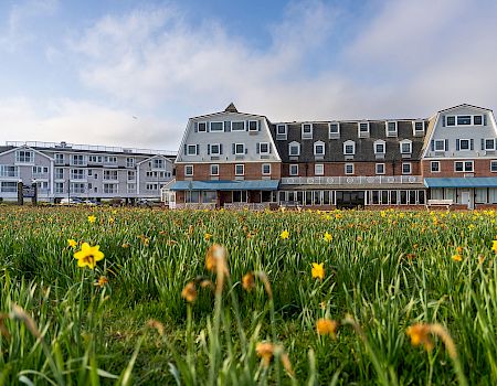 A seaside hotel with a grassy field of yellow flowers in the foreground and a brick-and-blue roofed building in the background, under a partly cloudy sky.
