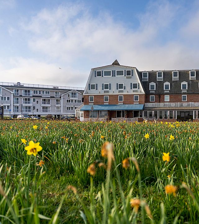 A seaside hotel with a grassy field of yellow flowers in the foreground and a brick-and-blue roofed building in the background, under a partly cloudy sky.