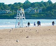 On a sunny beach, lifeguard tower stands as a group of people stroll along the shoreline near calm waves, with houses in the background.