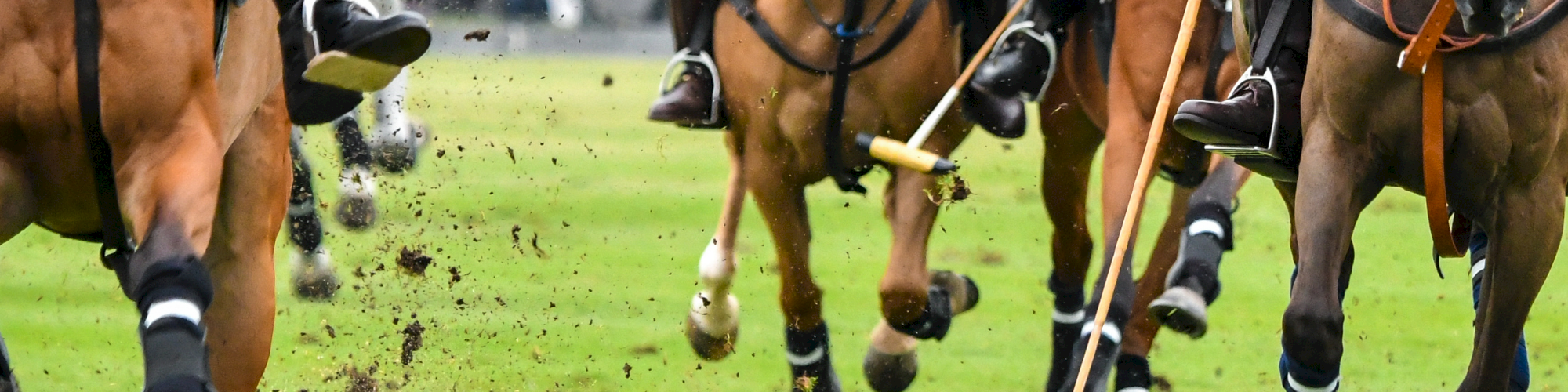 Horses playing polo on a grassy field chasing a ball with mallets, riders in action.